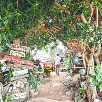 The Funky Beach Bar Tour