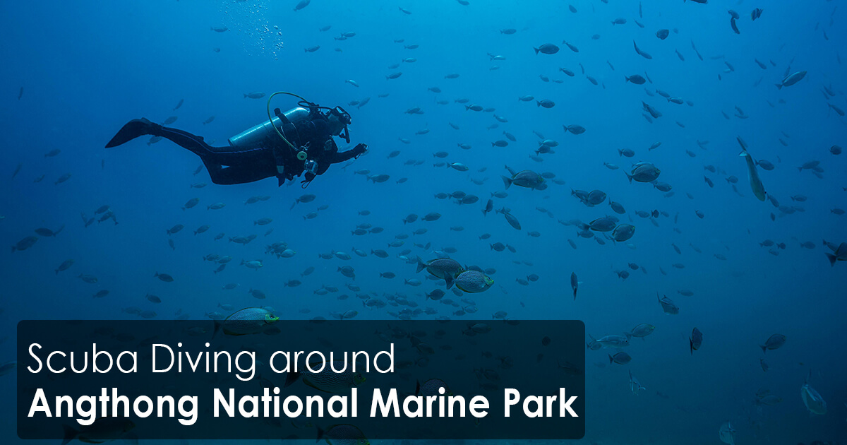 Scuba Diving around Angthong National Marine Park