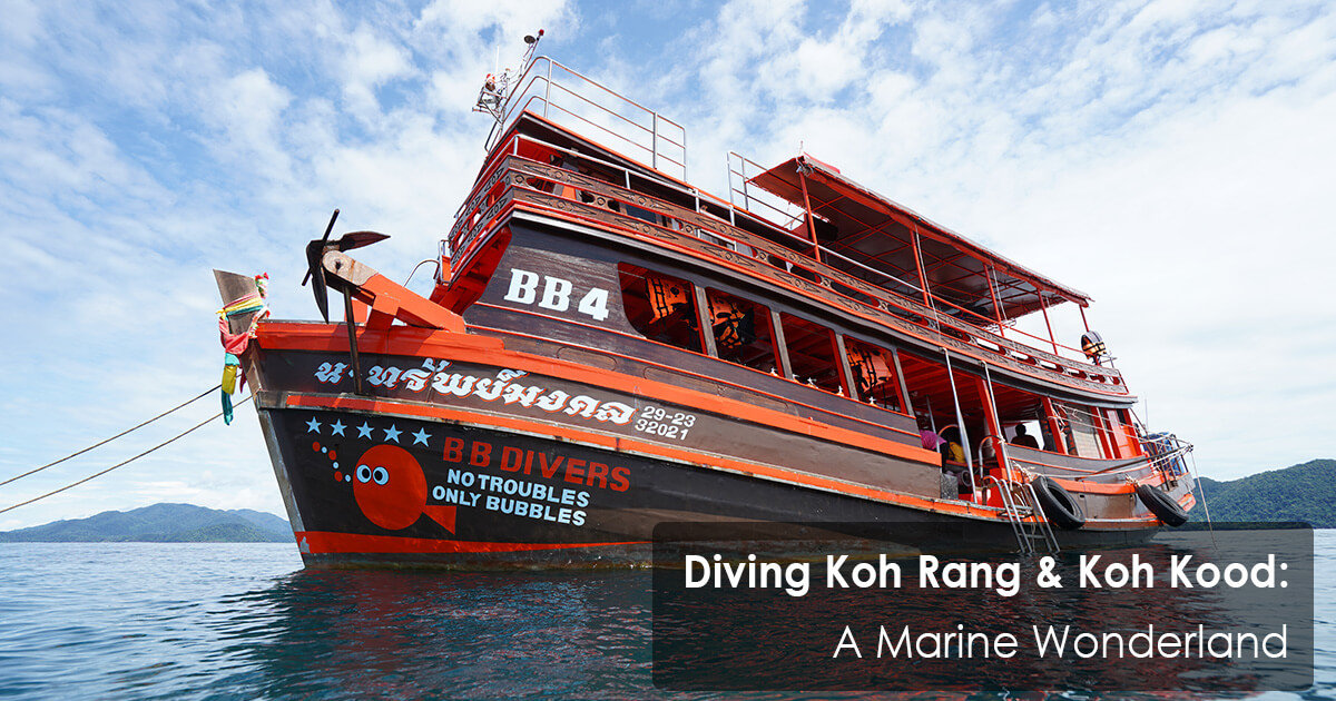 Diving Koh Rang & Koh Kood - A Marine Wonderland