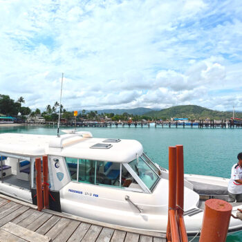 Private Stingray Speedboat