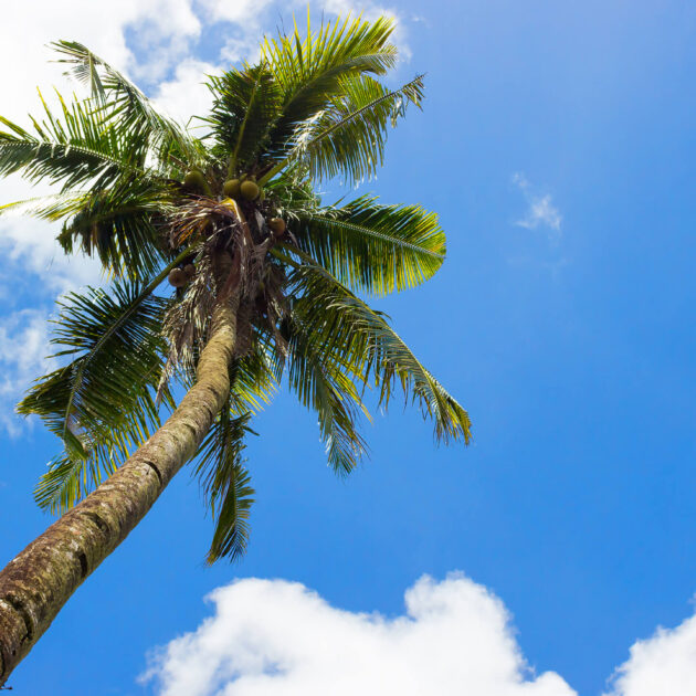 Private Boat Charters around Koh Samui