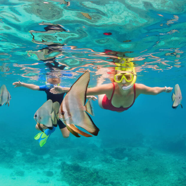 Snorkeling around Koh Samui